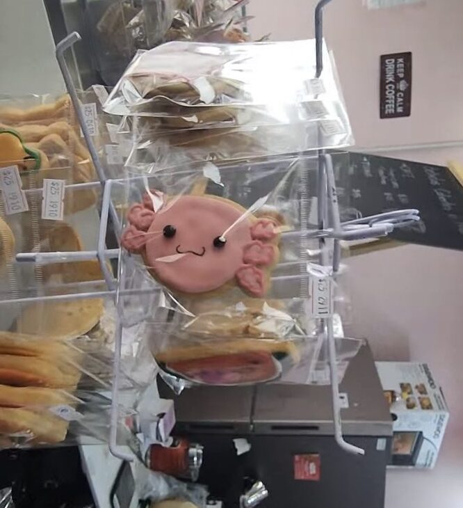 La Chica Pay: postres en Azcapotzalco